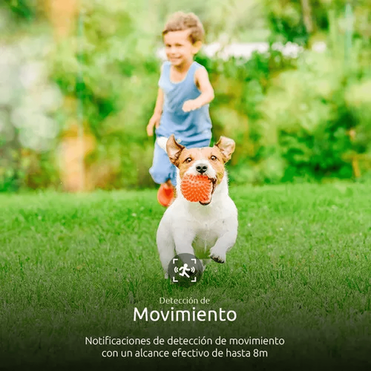 Camara Inteligente Nexxt: imagen 4