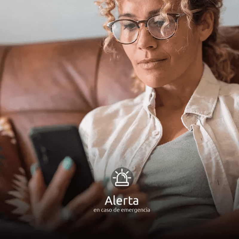 Cerradura Inteligente Nexxt Plata NHS-D100