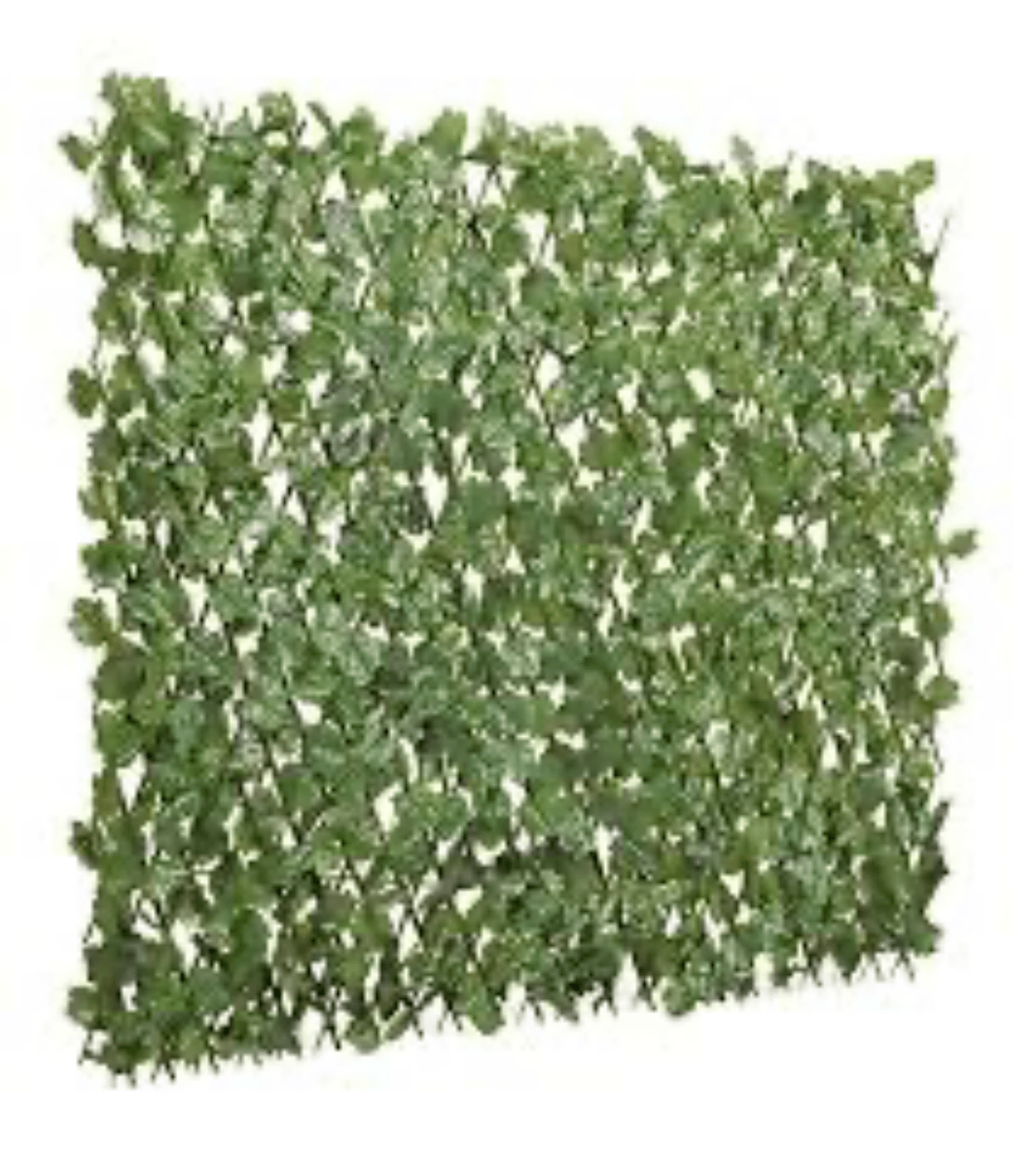 Enredaderas 100% PVC: imagen 1